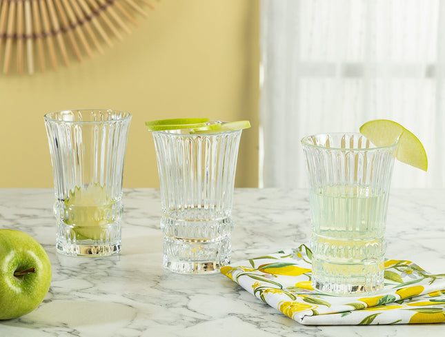 Evonna 4-Piece Beverage Glass Set with Sculpted Curves