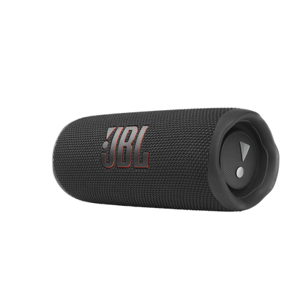 JBL Flip 6