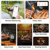 BMT01 SONOFF BBQ Meat Thermometer | BMT01