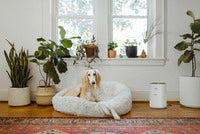 10.25.69.0003KarcherAir purifier AF 20