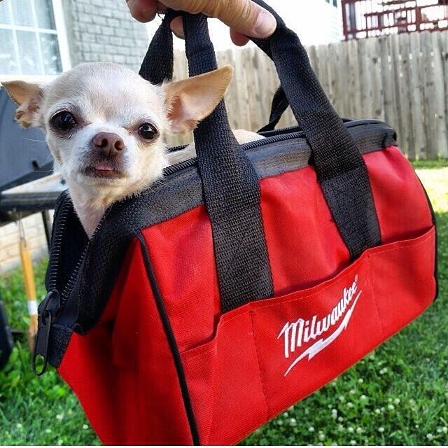 حقيبة Milwaukee قياس M (بدون عجلات) حقيبة Milwaukee قياس M (بدون عجلات)