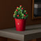 Rosalie Artificial Flower with Decorative Pot