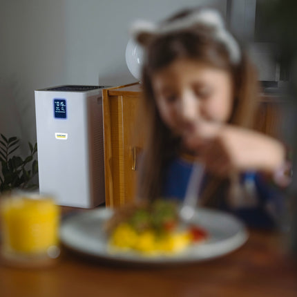 10.25.69.0004KarcherAir purifier AF 50
