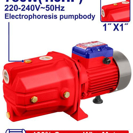 EMTOP Self-Priming Jet Water Pump 1.0HP