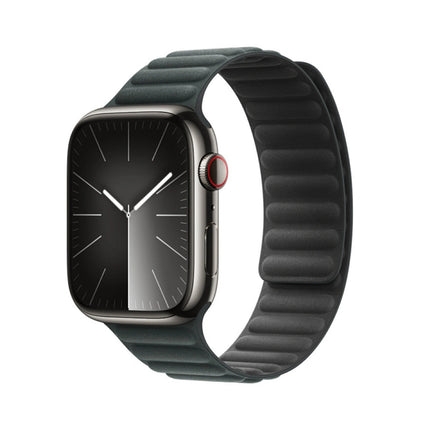WiWU Magnetic Loop Watch Band |Wi-WB001