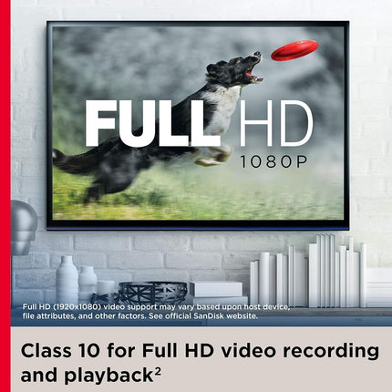 بطاقة ذاكرة SanDisk Ultra 256GB microSDXC مع محوّل SD