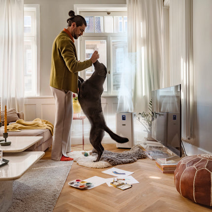 10.25.69.0004KarcherAir purifier AF 50