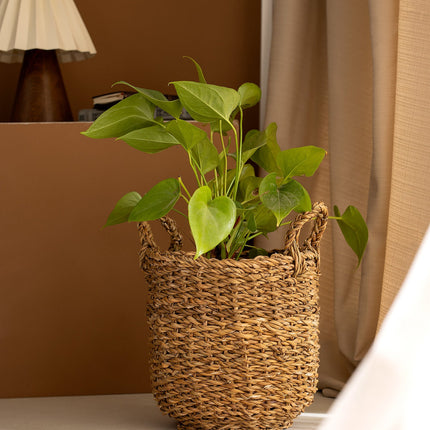 Olivia Natural Woven Basket 25cm Storage Organizer