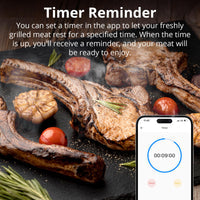 BMT01 SONOFF BBQ Meat Thermometer | BMT01