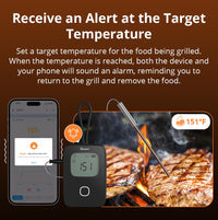 BMT01 SONOFF BBQ Meat Thermometer | BMT01