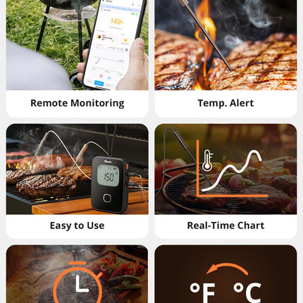 BMT01 SONOFF BBQ Meat Thermometer | BMT01