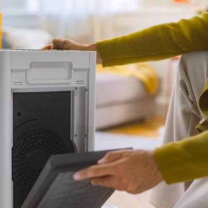 10.25.69.0004KarcherAir purifier AF 50