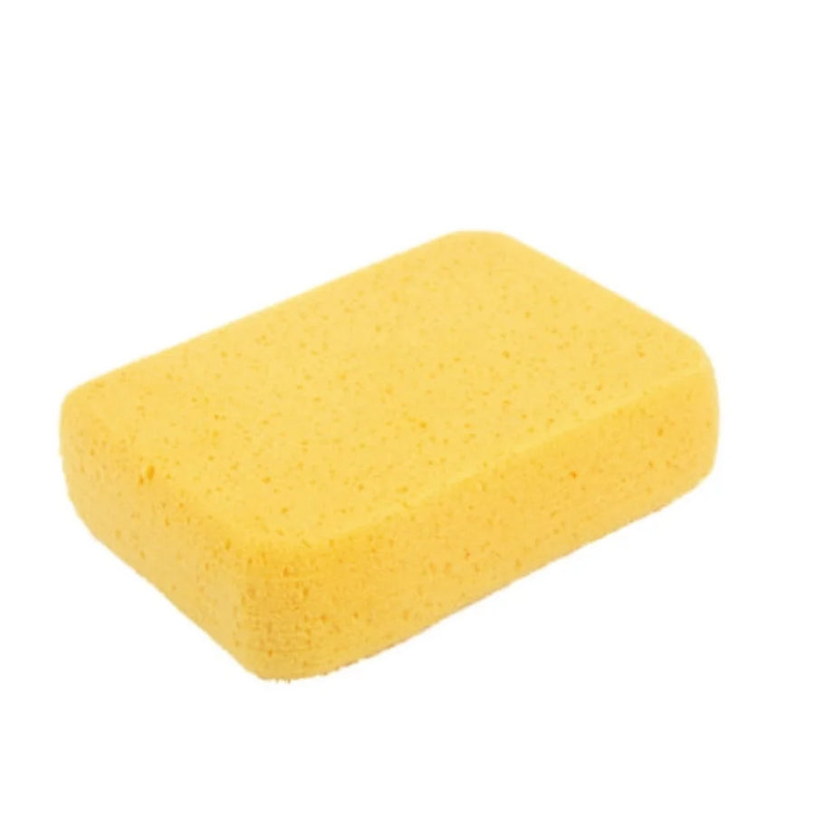 اسفنجة حجم كبير goldblatt اسفنجة حجم كبير goldblatt