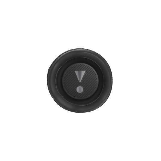 JBL Flip 6 JBL Flip 6