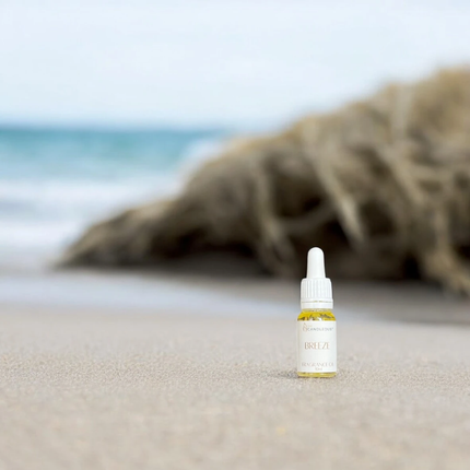 The Candledust Concentrated Fragrance Oil with Dropper (10ml) - Premium Pure Aroma Oil for Sand Candles, Diffusers & Humidifiers