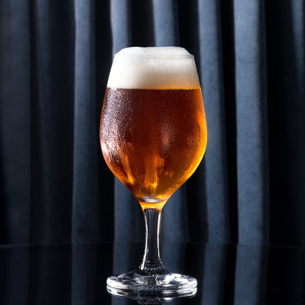 Verona 4-Piece Stem Beer Glass Set - Transparent