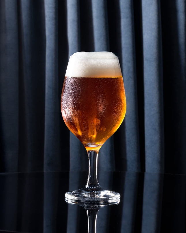 Verona 4-Piece Stem Beer Glass Set - Transparent