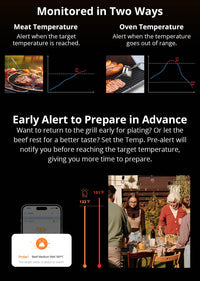 BMT01 SONOFF BBQ Meat Thermometer | BMT01