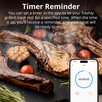 BMT01 SONOFF BBQ Meat Thermometer | BMT01