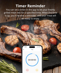 BMT01 SONOFF BBQ Meat Thermometer | BMT01