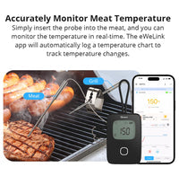BMT01 SONOFF BBQ Meat Thermometer | BMT01