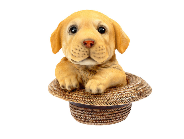 Andreline Puppy with Straw Hat Decorative Figurine