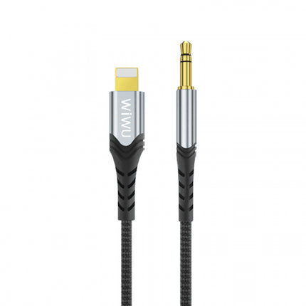 Lightning to 3.5mm Audio Stereo Cable