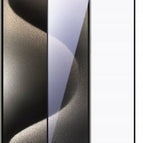 iP16 Pro
