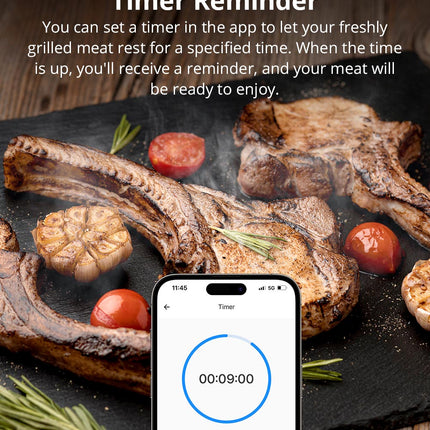 BMT01 SONOFF BBQ Meat Thermometer | BMT01